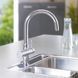 Смеситель для кухни Grohe Blue Bi-Flow 33251000 CV030564 фото 5